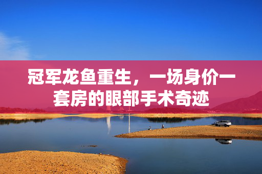 冠军龙鱼重生，一场身价一套房的眼部手术奇迹
