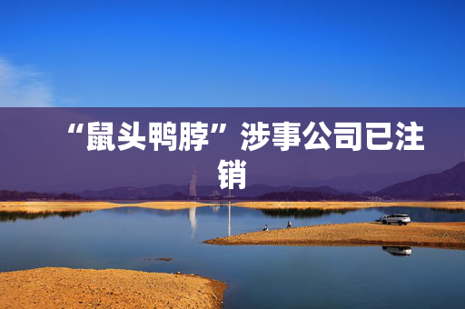 “鼠头鸭脖”涉事公司已注销