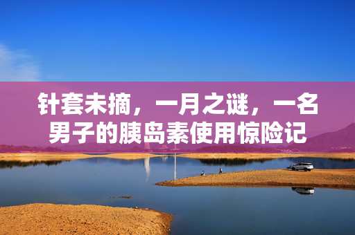 针套未摘，一月之谜，一名男子的胰岛素使用惊险记