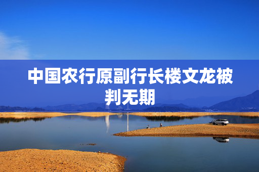 中国农行原副行长楼文龙被判无期