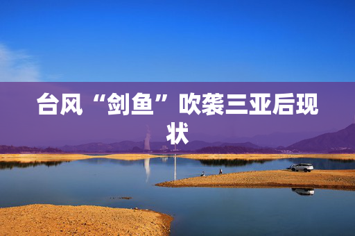 台风“剑鱼”吹袭三亚后现状