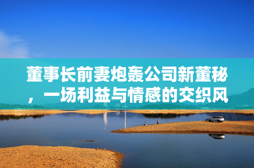 董事长前妻炮轰公司新董秘，一场利益与情感的交织风暴
