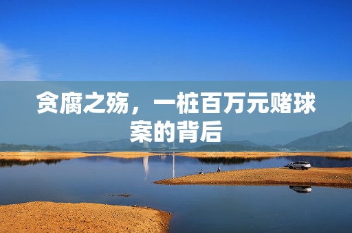 贪腐之殇，一桩百万元赌球案的背后