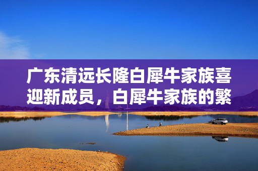 广东清远长隆白犀牛家族喜迎新成员，白犀牛家族的繁衍与保护之旅