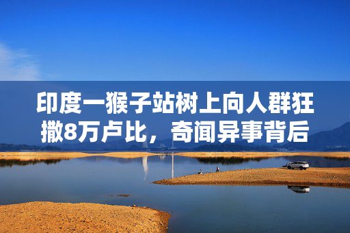 印度一猴子站树上向人群狂撒8万卢比，奇闻异事背后的社会与生态思考