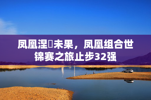 凤凰涅槃未果，凤凰组合世锦赛之旅止步32强