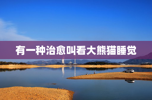 有一种治愈叫看大熊猫睡觉