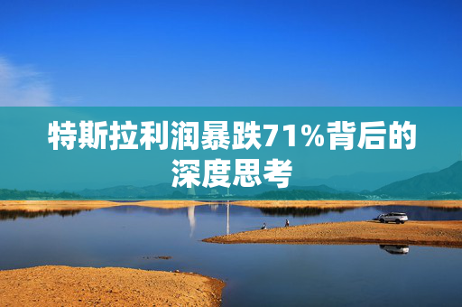 特斯拉利润暴跌71%背后的深度思考