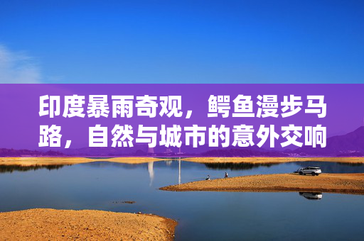 印度暴雨奇观，鳄鱼漫步马路，自然与城市的意外交响