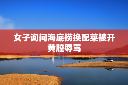 女子询问海底捞换配菜被开黄腔辱骂
