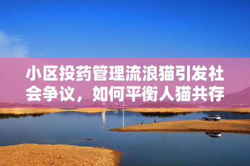 小区投药管理流浪猫引发社会争议，如何平衡人猫共存？