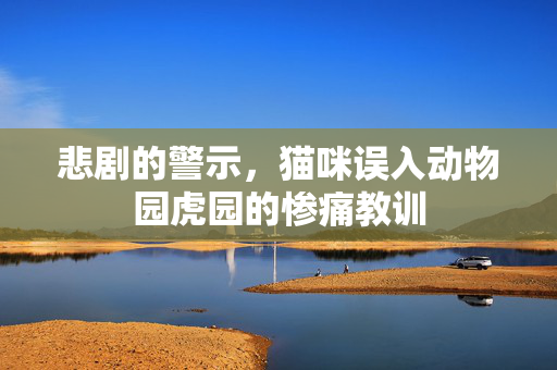 悲剧的警示，猫咪误入动物园虎园的惨痛教训