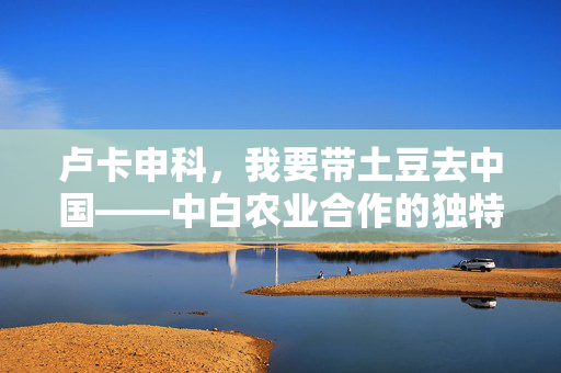 卢卡申科，我要带土豆去中国——中白农业合作的独特视角与未来展望