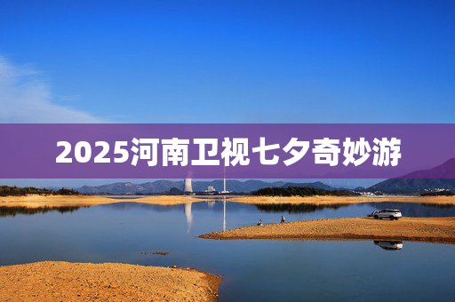 2025河南卫视七夕奇妙游