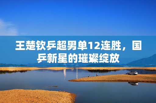 王楚钦乒超男单12连胜，国乒新星的璀璨绽放