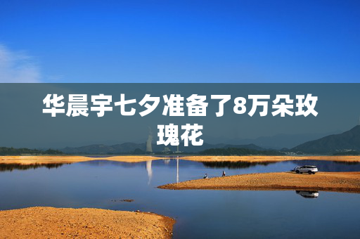 华晨宇七夕准备了8万朵玫瑰花