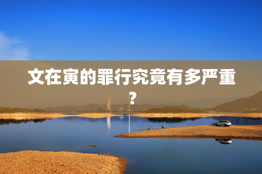 文在寅的罪行究竟有多严重？
