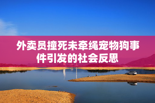外卖员撞死未牵绳宠物狗事件引发的社会反思