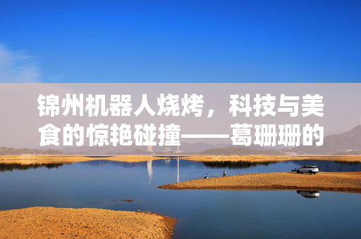 锦州机器人烧烤，科技与美食的惊艳碰撞——葛珊珊的味蕾奇遇