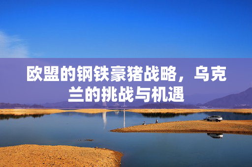 欧盟的钢铁豪猪战略，乌克兰的挑战与机遇