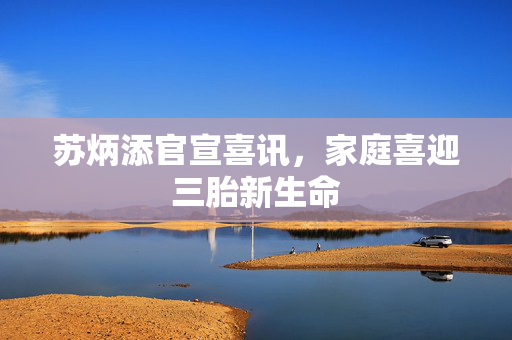 苏炳添官宣喜讯，家庭喜迎三胎新生命