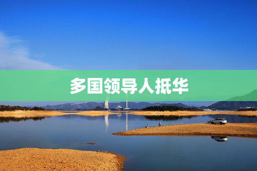 多国领导人抵华