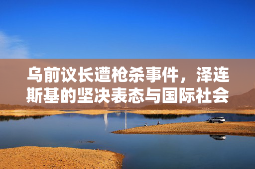 乌前议长遭枪杀事件，泽连斯基的坚决表态与国际社会的关注