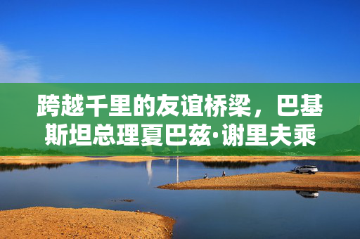 跨越千里的友谊桥梁，巴基斯坦总理夏巴兹·谢里夫乘机抵达天津，共绘中巴合作新篇章