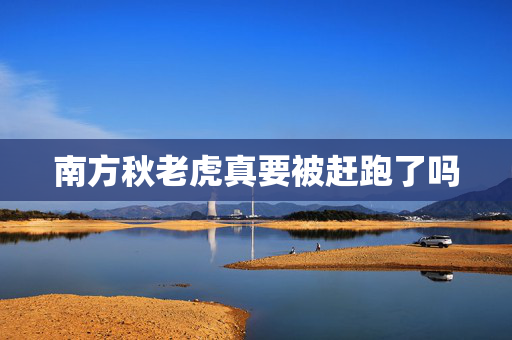 南方秋老虎真要被赶跑了吗