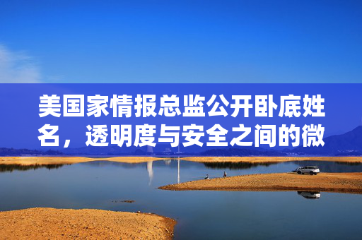 美国家情报总监公开卧底姓名，透明度与安全之间的微妙平衡