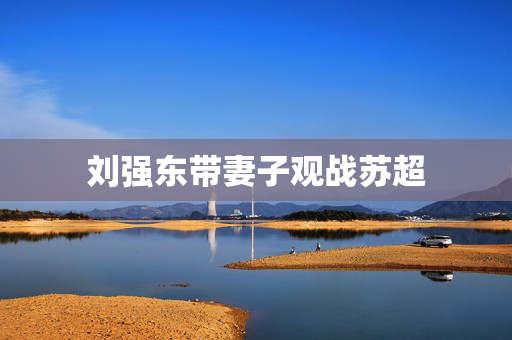 刘强东带妻子观战苏超