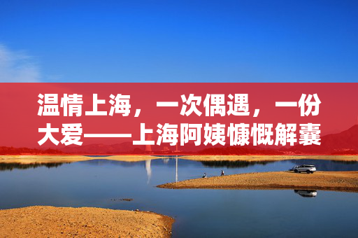 温情上海，一次偶遇，一份大爱——上海阿姨慷慨解囊，温暖受伤男孩的心