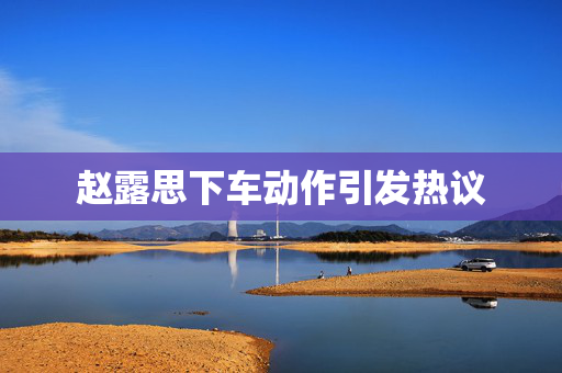 赵露思下车动作引发热议