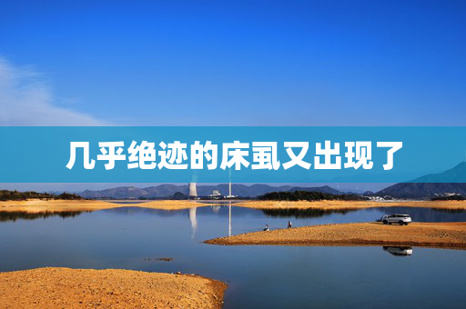几乎绝迹的床虱又出现了