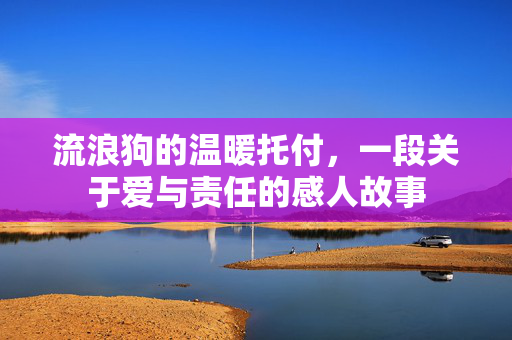 流浪狗的温暖托付，一段关于爱与责任的感人故事
