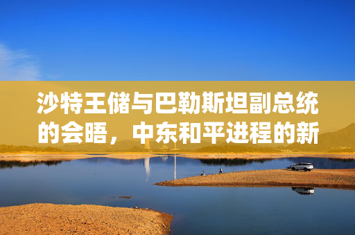 沙特王储与巴勒斯坦副总统的会晤，中东和平进程的新曙光