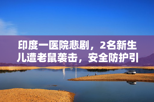 印度一医院悲剧，2名新生儿遭老鼠袭击，安全防护引深思