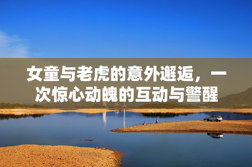 女童与老虎的意外邂逅，一次惊心动魄的互动与警醒