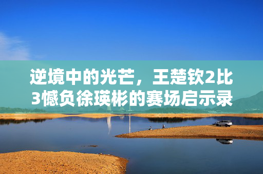 逆境中的光芒，王楚钦2比3憾负徐瑛彬的赛场启示录