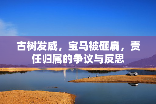 古树发威，宝马被砸扁，责任归属的争议与反思