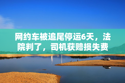 网约车被追尾停运6天，法院判了，司机获赔损失费