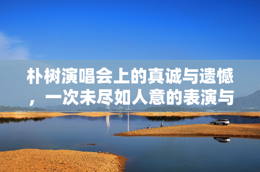 朴树演唱会上的真诚与遗憾，一次未尽如人意的表演与深切歉意