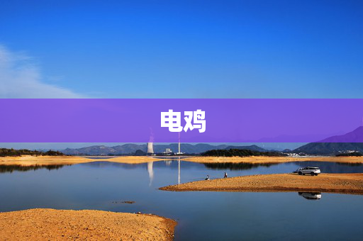电鸡