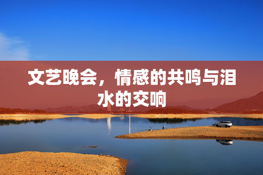 文艺晚会，情感的共鸣与泪水的交响