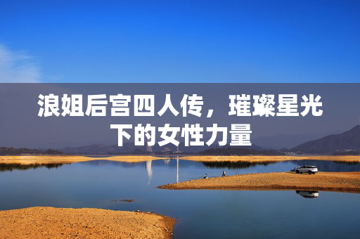 浪姐后宫四人传，璀璨星光下的女性力量