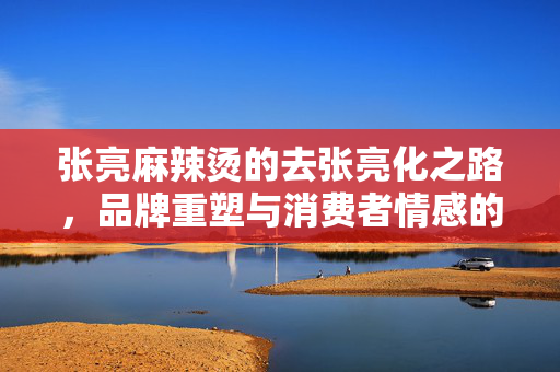 张亮麻辣烫的去张亮化之路，品牌重塑与消费者情感的微妙平衡