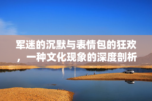 军迷的沉默与表情包的狂欢，一种文化现象的深度剖析