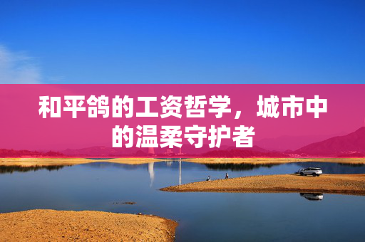 和平鸽的工资哲学，城市中的温柔守护者