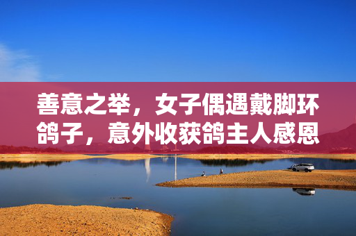 善意之举，女子偶遇戴脚环鸽子，意外收获鸽主人感恩回馈的温暖故事