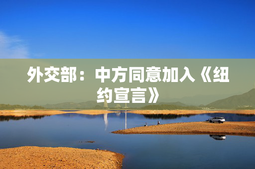 外交部：中方同意加入《纽约宣言》